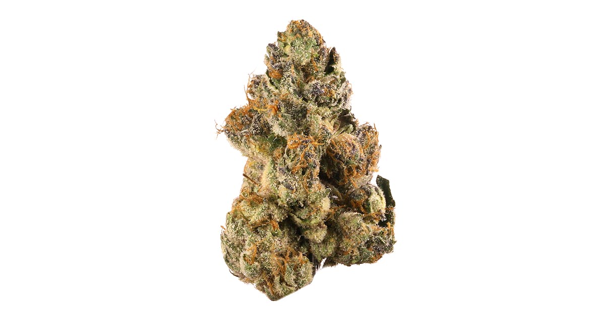 From Cybersecurity to ERP: Tyler Technologies' Public Sector Solutions